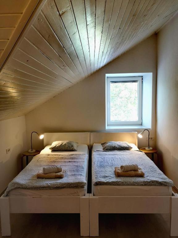 Unique Vila Veselova, Ljubljana City Center Ngoại thất bức ảnh